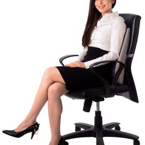 VISSCO SMART - ORTHOPAEDIC BACK REST